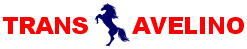 TransAvelino - empresa de mudança e frete.
